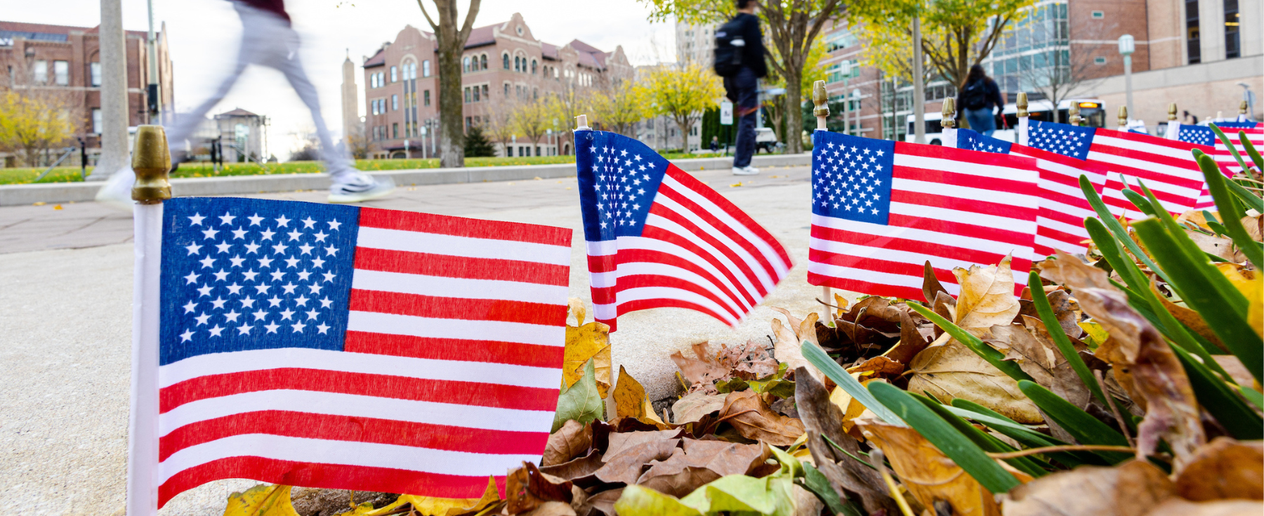 Flags planted on Loyola's Lake Shore Campus